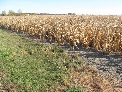 Property photo 7 - 65+/- Acres Offered in 2 Tracts